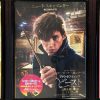ファンタスティックビーストと魔法使いの旅 映画 ネタバレ 感想