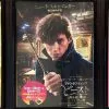 ファンタスティックビーストと魔法使いの旅 映画 ネタバレ 感想