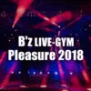 B'z LIVE-GYM Pleasure 2018 ライブ情報まとめ
