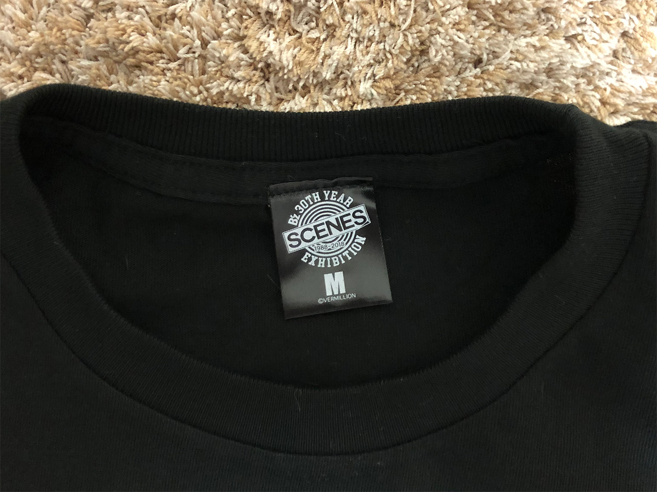 B'z × ディズニー Tシャツ・タオルコラボグッズレビュー・感想