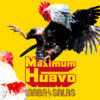 INABA／SALAS NEW ALBUM「Maximum Huavo」